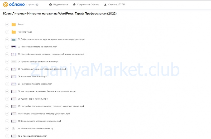 Интернет магазин на WordPress. Тариф Профессионал (Юлия Литвина) скрин на облаке, фото 2 из 2.