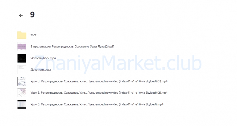 Хорарная астрология. Тариф Базовый (Лиза Васина, Дарья Гущина) скрин на облаке, фото 2 из 2.