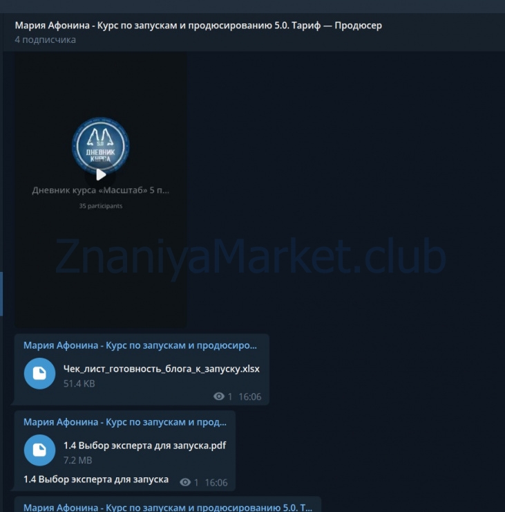 Курс по запускам и продюсированию 5.0. Тариф - Продюсер (Мария Афонина) скрин на облаке, фото 2 из 2.
