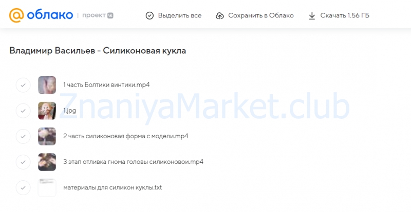 Силиконовая кукла (Владимир Васильев) скрин на облаке, фото 2 из 2.