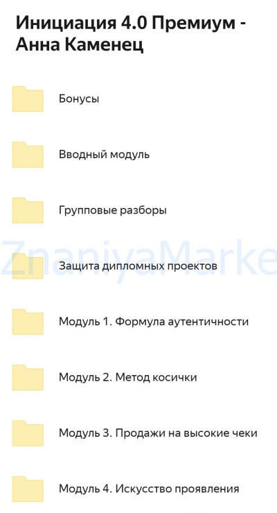 Инициация 4.0. Тариф Премиум (Аня Каменец) скрин на облаке, фото 2 из 2.