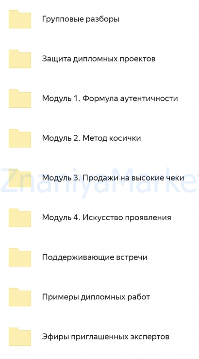Инициация 4.0. Тариф Премиум (Аня Каменец) скрин на облаке, фото 2 из 2.