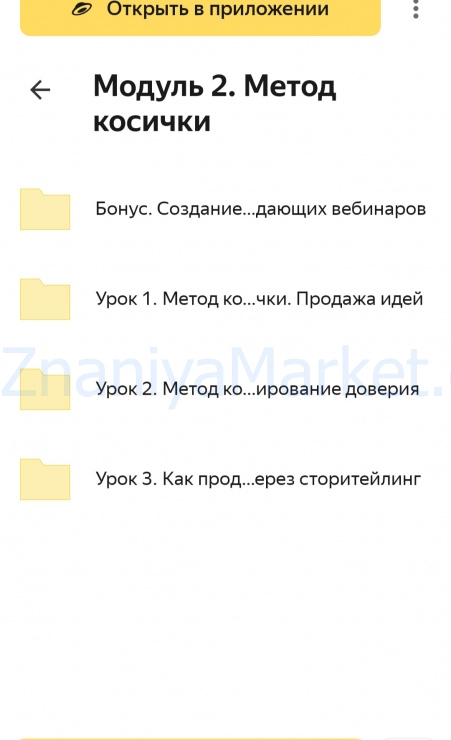 Инициация 4.0. Тариф Премиум (Аня Каменец) скрин на облаке, фото 2 из 2.