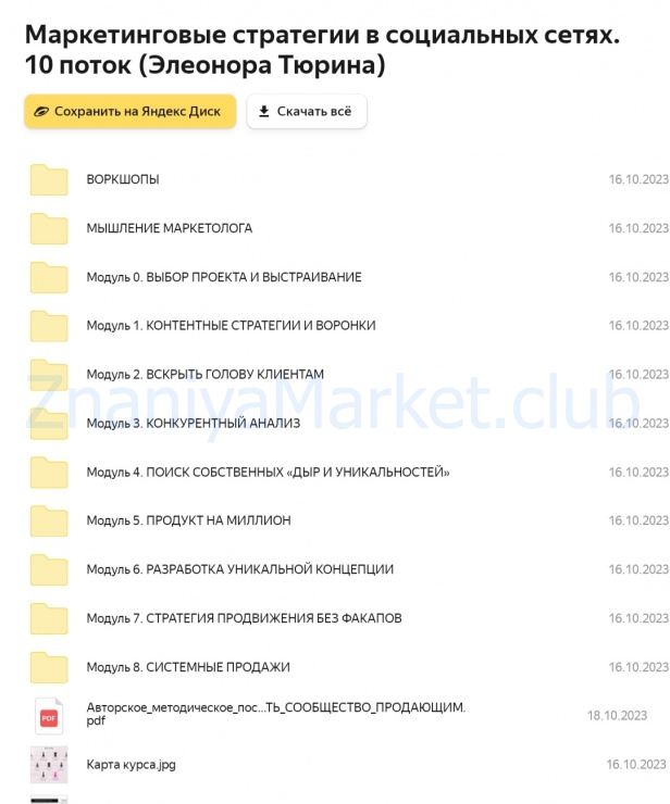 Маркетинговые стратегии в социальных сетях. 10 поток (Элеонора Тюрина) скрин на облаке, фото 2 из 2.