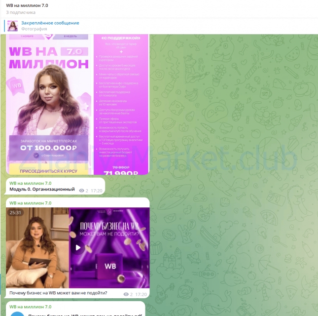 WB на миллион 7.0. Тариф С поддержкой (Софи Азарова) скрин на облаке, фото 2 из 2.