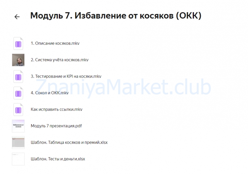 Академия Системного Бизнеса. Тариф - Руководитель (Михаил Колмаков) скрин на облаке, фото 2 из 2.