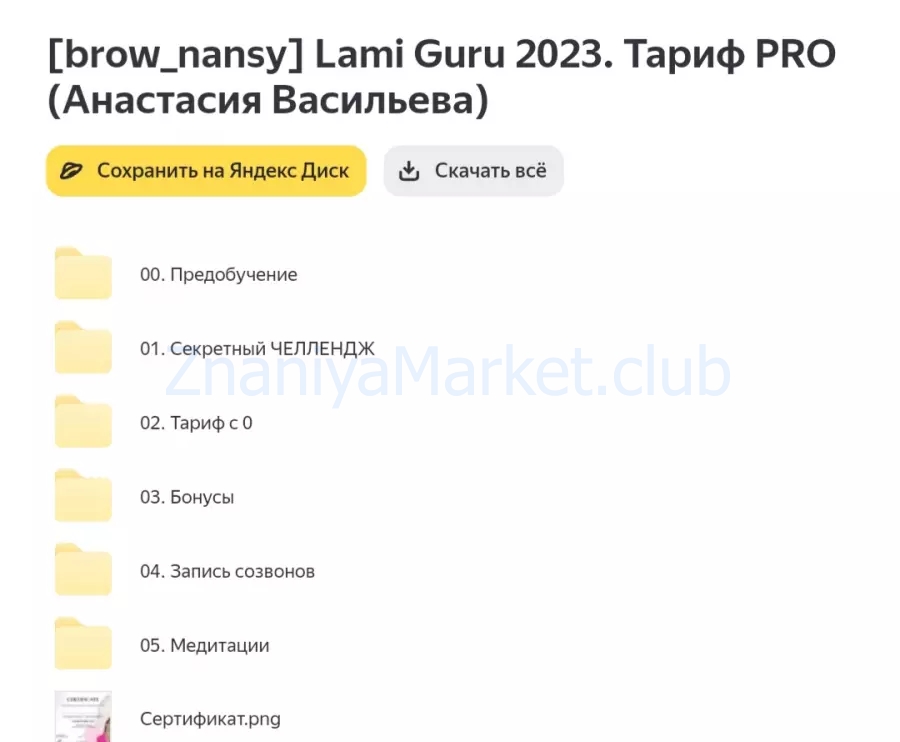 [brow_nansy] Lami Guru. Тариф PRO (Анастасия Васильева) скрин на облаке, фото 2 из 2.