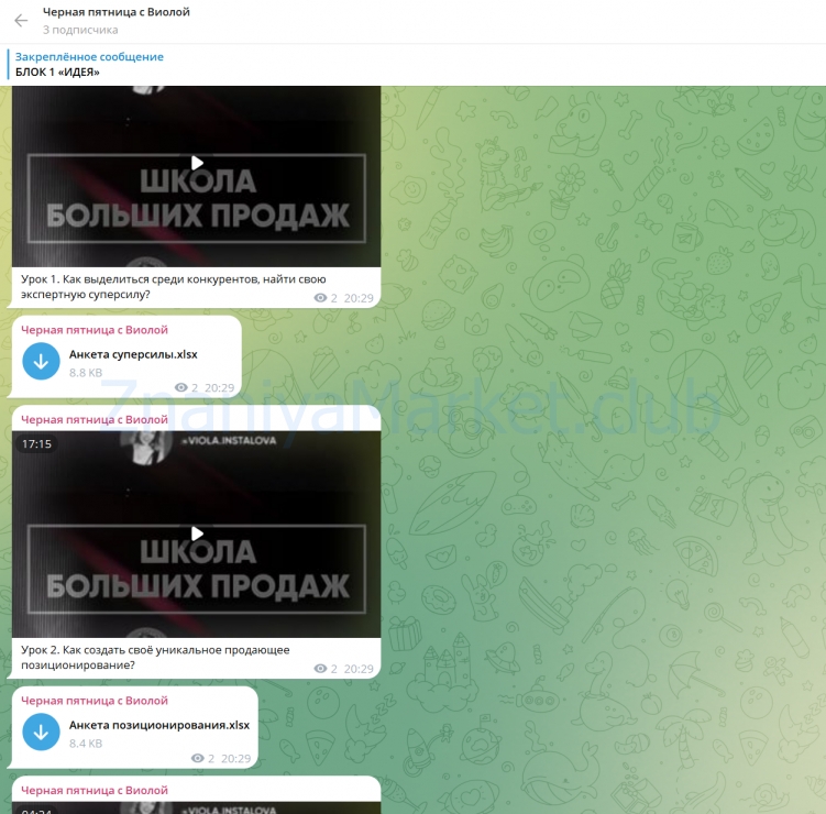 Черная пятница с Виолой. Сборник видеолекций Школа больших продаж (Виола Инсталова) скрин на облаке, фото 2 из 2.