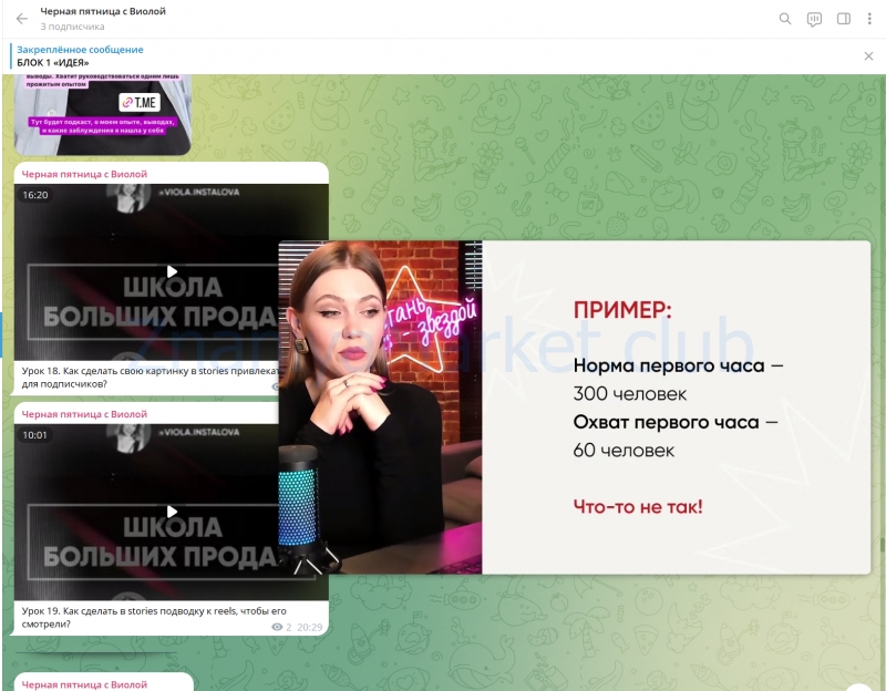 Черная пятница с Виолой. Сборник видеолекций Школа больших продаж (Виола Инсталова) скрин на облаке, фото 2 из 2.