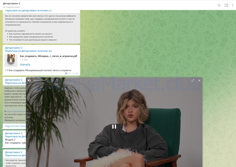 Department of Aesthetics 2.0. Тариф Мастерски освоить (Полина Подплетенная, Лена Ленц) скрин на облаке, фото 2 из 2.