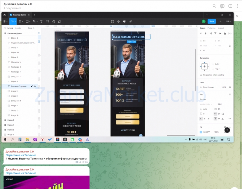 Дизайн в деталях 7.0. Тариф С куратором (Дарья Касимова) скрин на облаке, фото 2 из 2.