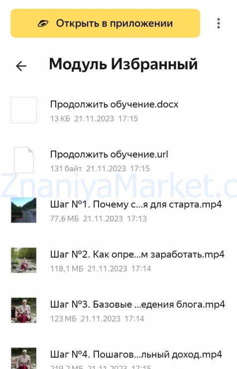 Пошаговый план прогревов и продаж. Тариф Беру все (Кристина Софи) скрин на облаке, фото 2 из 2.