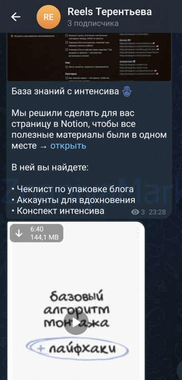 Авторский интенсив по продвижению через рилс (Лина Терентьева) скрин на облаке, фото 2 из 2.