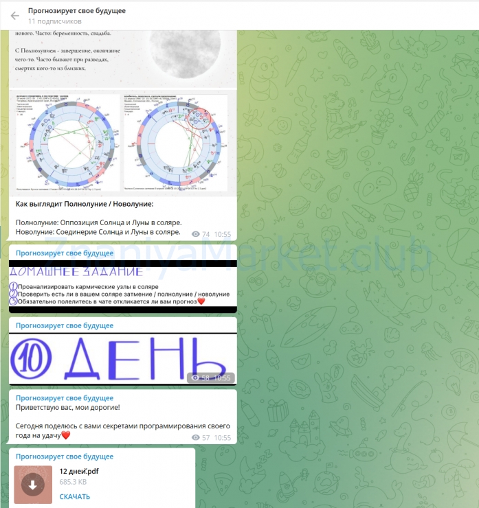 Астрологический марафон Соляр. Тариф Профи (Вероника Бородина) скрин на облаке, фото 2 из 2.