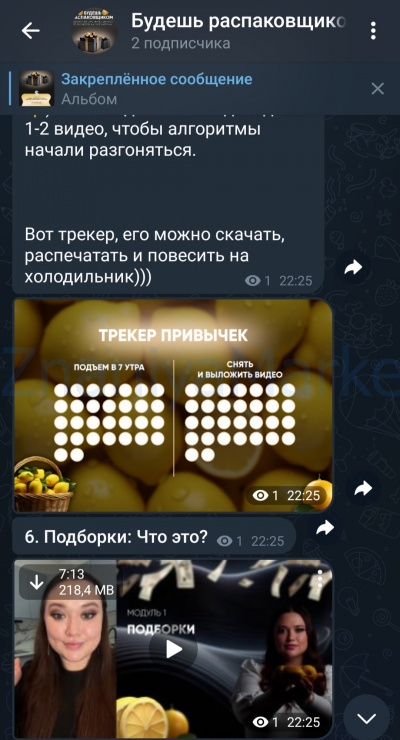 Будешь распаковщиком. Тариф Пол-лимона на распаковках (Марина Кукса) скрин на облаке, фото 2 из 2.