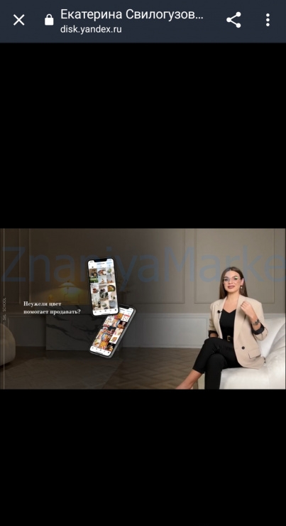 [SVL school] Top Expert. Тариф Профессионал (Екатерина Свилогузова) скрин на облаке, фото 2 из 2.