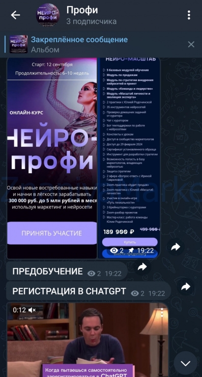 [Julia Marketing] Нейро профи. Тариф Нейро масштаб (Юлия Родочинская) скрин на облаке, фото 2 из 2.