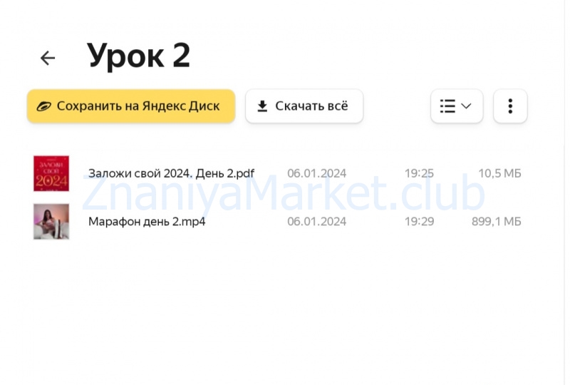 Заложи свой 2024 год! (Лиза Васина) скрин на облаке, фото 2 из 2.