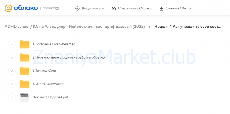 [ADHD school] Нейроотличники. Тариф Базовый (Юлия Альтшулер) скрин на облаке, фото 2 из 2.