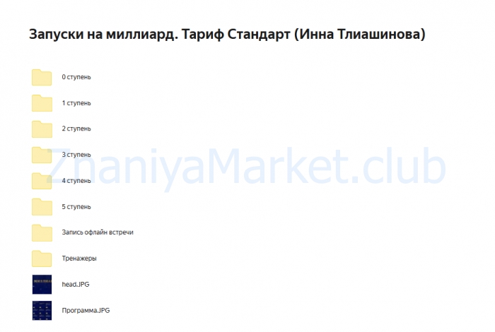 [Академия Мастеров Разборов] Запуски на миллиард. Тариф Стандарт (Инна Тлиашинова) скрин на облаке, фото 2 из 2.