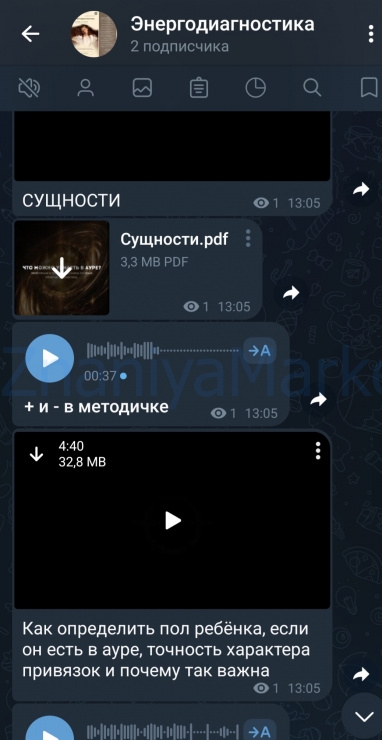 Энергодиагностика. Тариф Base (Анна Черкасова) скрин на облаке, фото 2 из 2.