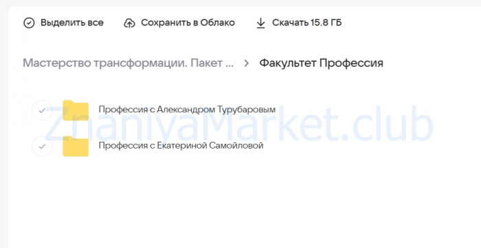 Мастерство трансформации. Пакет Профессия (Екатерина Самойлова) скрин на облаке, фото 2 из 2.
