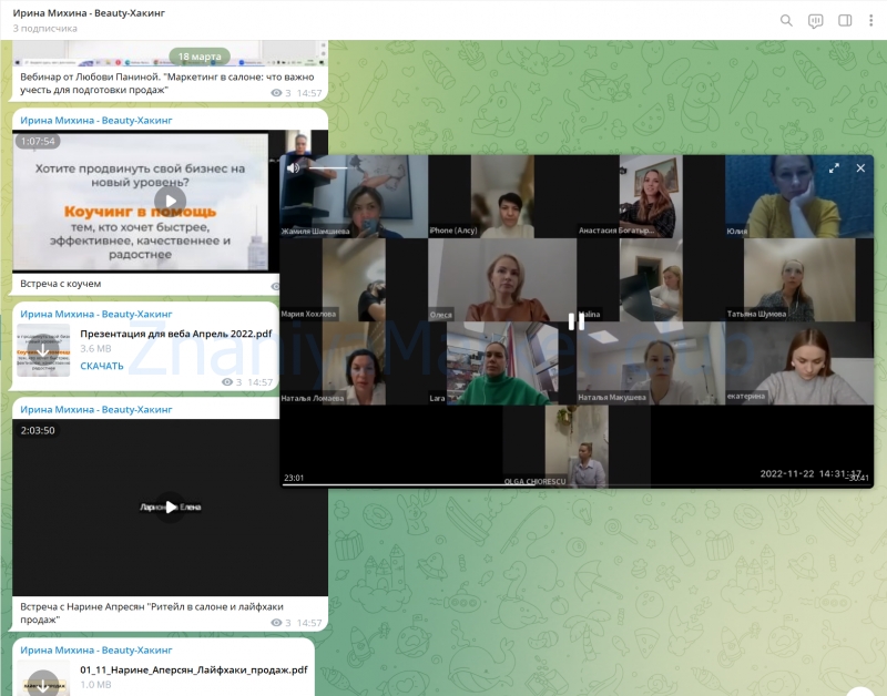 [Beauty Education №1] Beauty-Хакинг – Миллионеры. 7 поток (Ирина Михина) скрин на облаке, фото 2 из 2.
