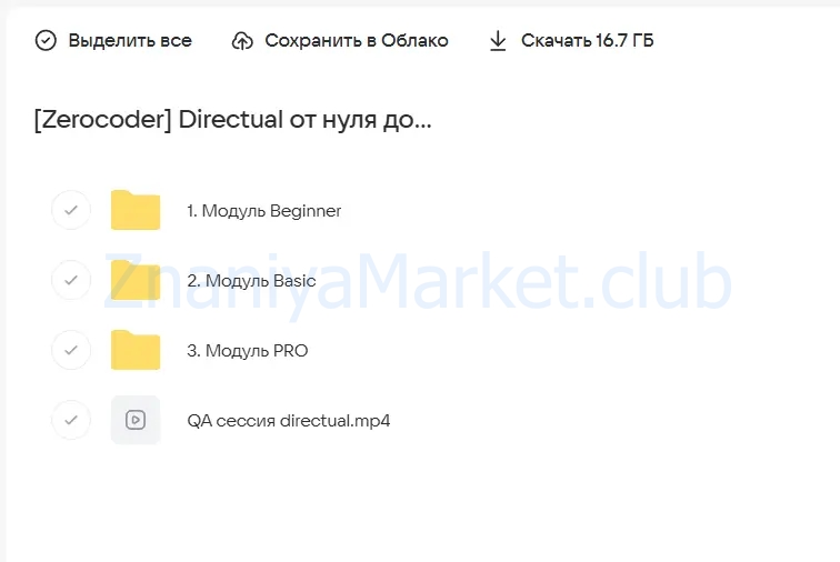 [Zerocoder] Directual: от нуля до PRO (Анна Мозер) скрин на облаке, фото 2 из 2.