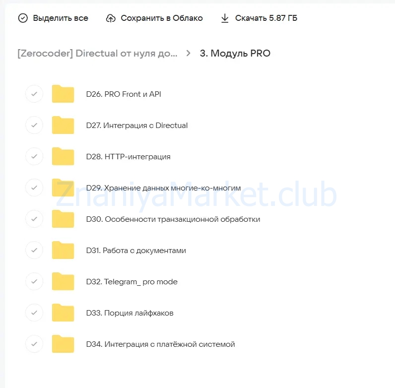 [Zerocoder] Directual: от нуля до PRO (Анна Мозер) скрин на облаке, фото 2 из 2.