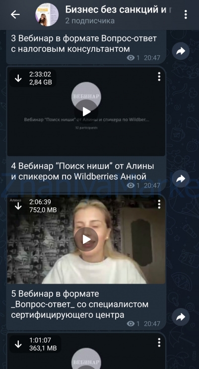 Бизнес без санкций и продажи на Wildberries 2024. ВИП тариф Самый выгодный (alin_arti) скрин на облаке, фото 2 из 2.