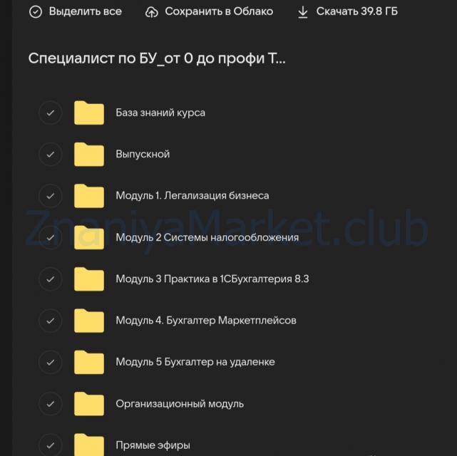 [YES Академия] Специалист по бухгалтерскому учету. Поток 29. Пакет Предприниматель (Татьяна Себелева) скрин на облаке, фото 2 из 2.