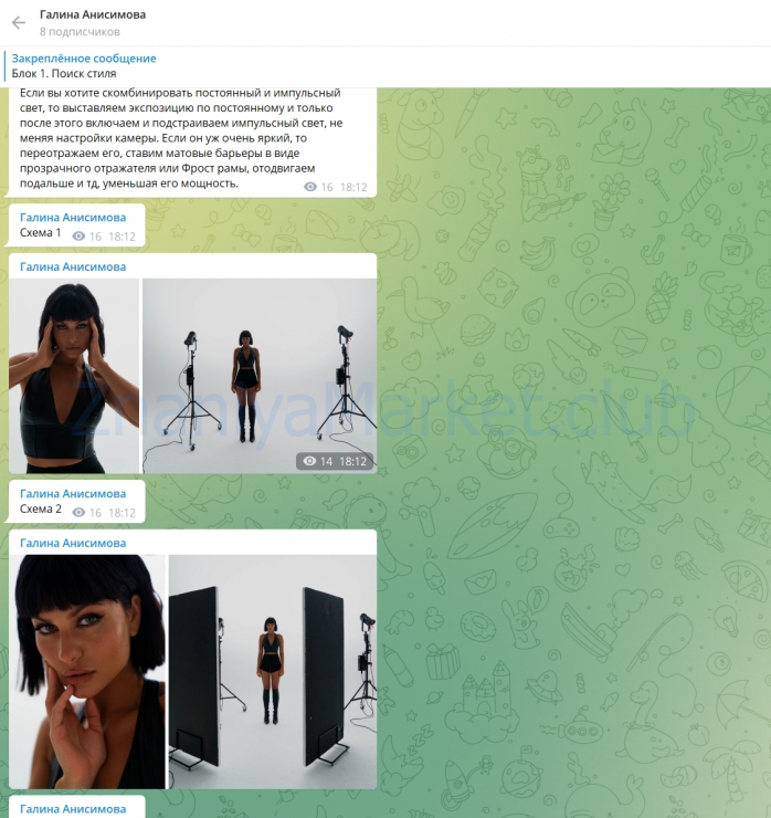 Фотонизм. Тариф Продвинутый (Галина Анисимова) скрин на облаке, фото 2 из 2.