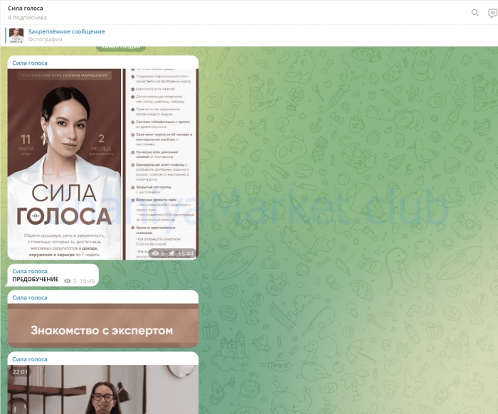 Сила голоса. Тариф 2 Платинум (Полина Маришова) скрин на облаке, фото 2 из 2.