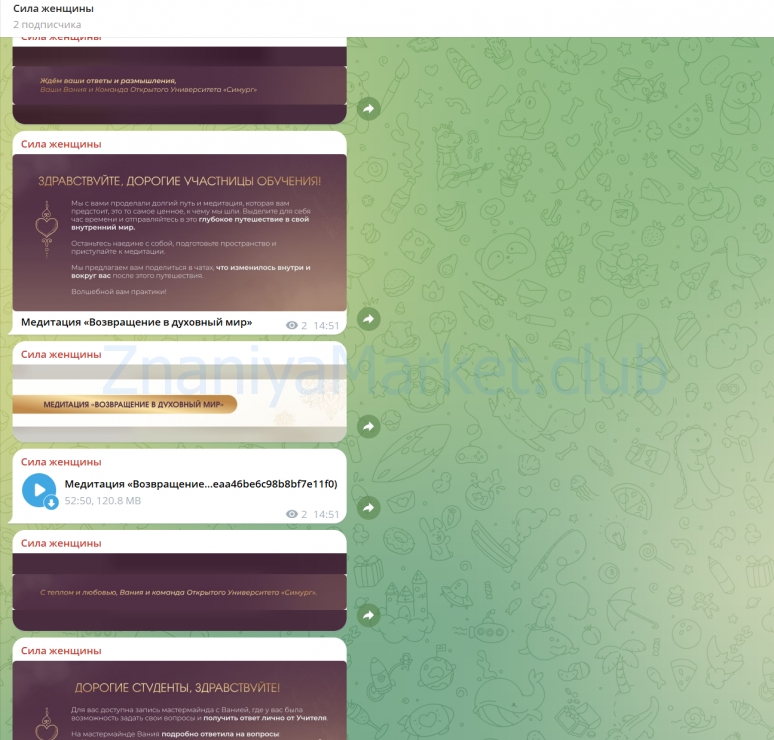 [Симург] Сила женщины. 3 поток. Тариф С ментором (Вания Маркович) скрин на облаке, фото 2 из 2.