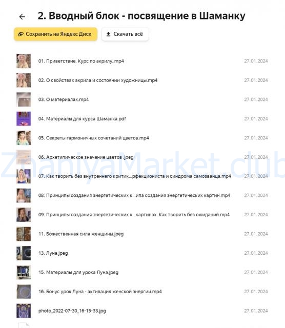 Трансформационный курс акрилом Шаманка. Тариф Базовый (Анжелика Ferra) скрин на облаке, фото 2 из 2.