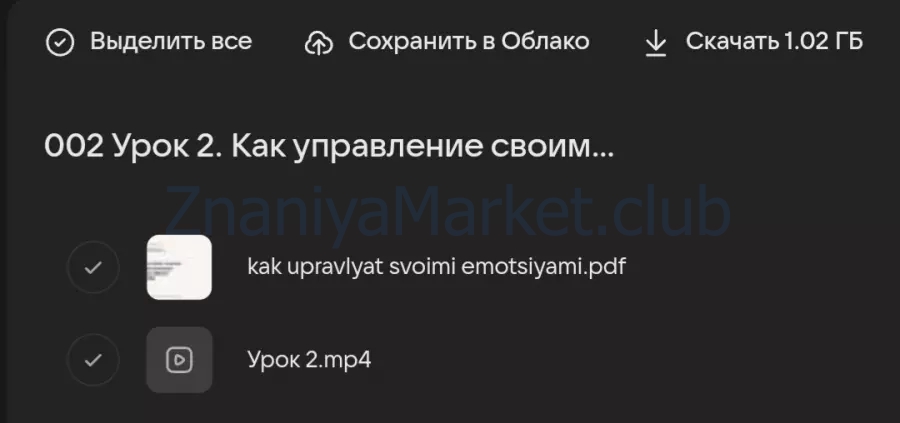 Метанавыки. Тариф Базовый (Анна Знаменская) скрин на облаке, фото 2 из 2.