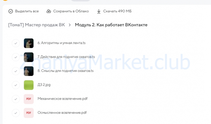 [tomatschool] Мастер продаж вконтакте. Тариф Я сам (Тома Саркулова) скрин на облаке, фото 2 из 2.