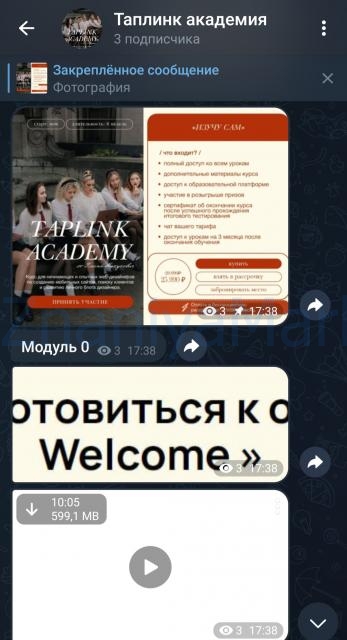 Taplink Academy. Тариф Изучу сам (Ульяна Матусевич) скрин на облаке, фото 2 из 2.