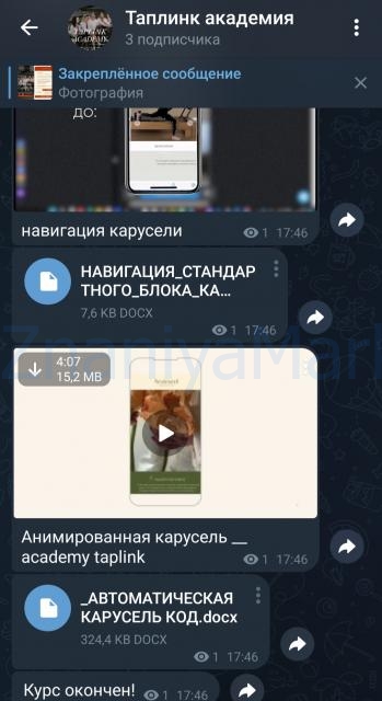 Taplink Academy. Тариф Изучу сам (Ульяна Матусевич) скрин на облаке, фото 2 из 2.