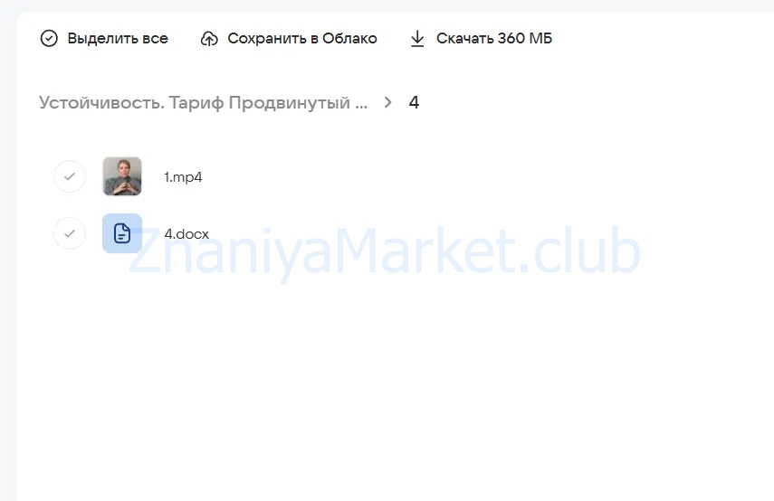 Устойчивость. Тариф Продвинутый (Александра Алексеева) скрин на облаке, фото 2 из 2.