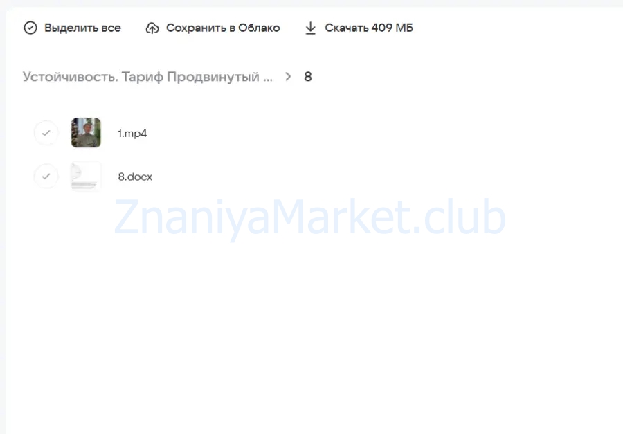 Устойчивость. Тариф Продвинутый (Александра Алексеева) скрин на облаке, фото 2 из 2.