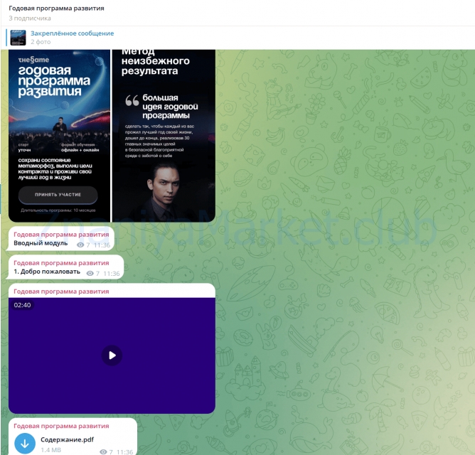 Thegame. Годовая программа развития (Петр Осипов) скрин на облаке, фото 2 из 2.