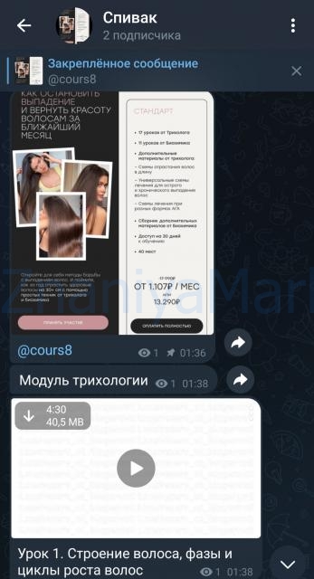 Как  остановить выпадение и вернуть красоту волосам в ближайший месяц (Катя Спивак) скрин на облаке, фото 2 из 2.