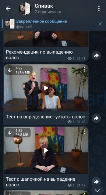 Как  остановить выпадение и вернуть красоту волосам в ближайший месяц (Катя Спивак) скрин на облаке, фото 2 из 2.