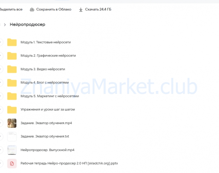 Нейропродюсер. Тариф Нейро-эксперт [Павел Лебедев] скрин на облаке, фото 2 из 2.