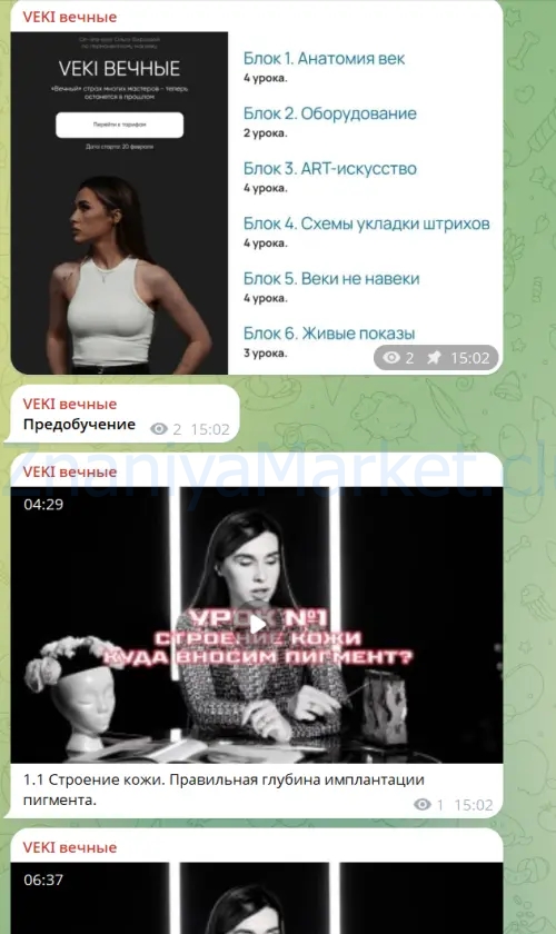 VEKI вечные. Тариф С куратором (Ольга Фирсова) скрин на облаке, фото 2 из 2.