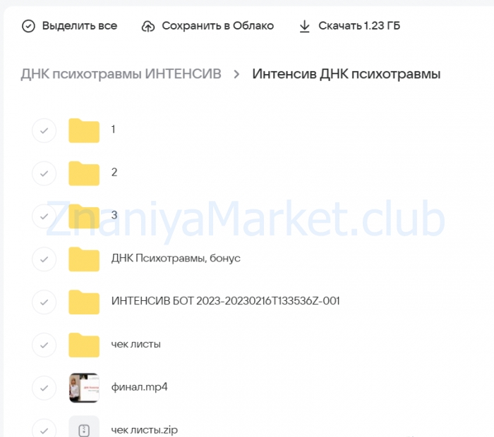 Интенсив ДНК психотравмы. Ступень 1 (Елена Киселёва) скрин на облаке, фото 2 из 2.