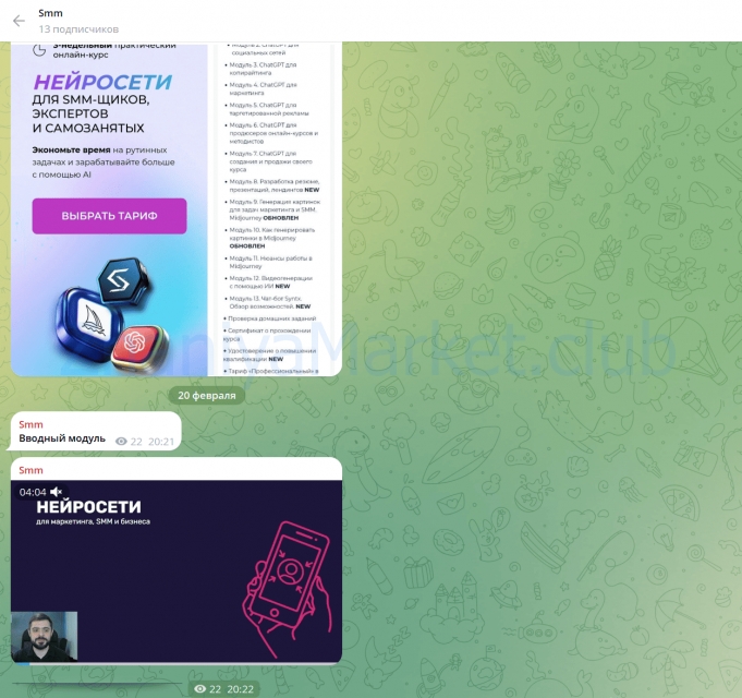 [SMM.school] Нейросети для smm щиков, экспертов и самозанятых. Тариф VIP (Артем Пыхтеев, Анна Гончарова) скрин на облаке, фото 2 из 2.