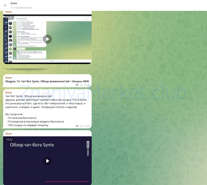 [SMM.school] Нейросети для smm щиков, экспертов и самозанятых. Тариф VIP (Артем Пыхтеев, Анна Гончарова) скрин на облаке, фото 2 из 2.