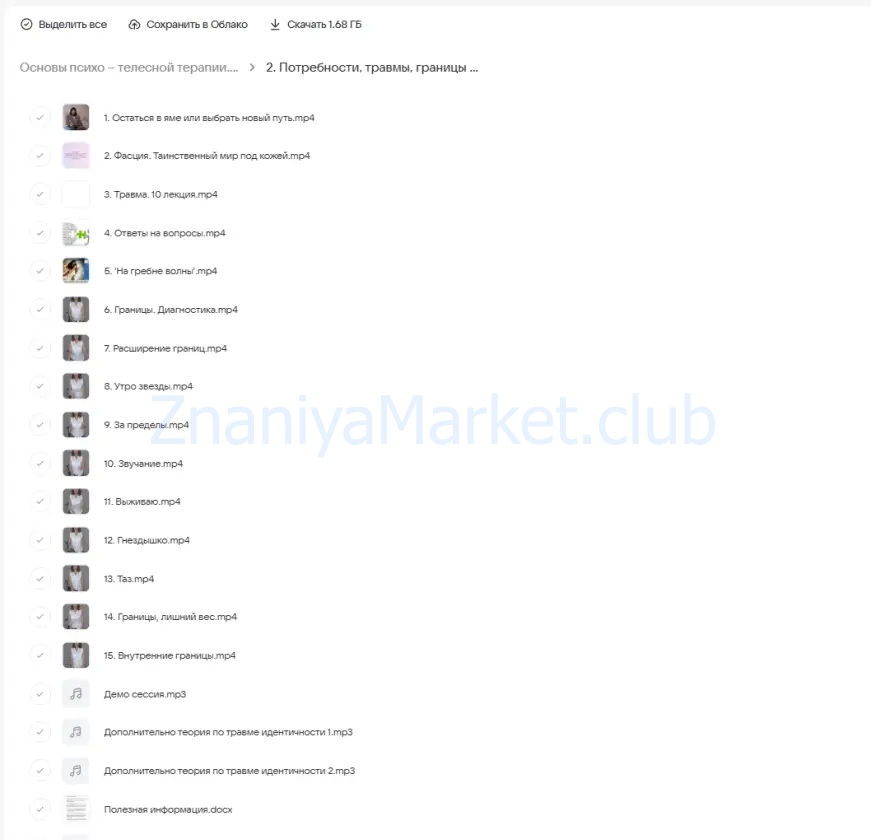 Основы психо – телесной терапии. Поток жизни (Елена Паули) скрин на облаке, фото 2 из 2.